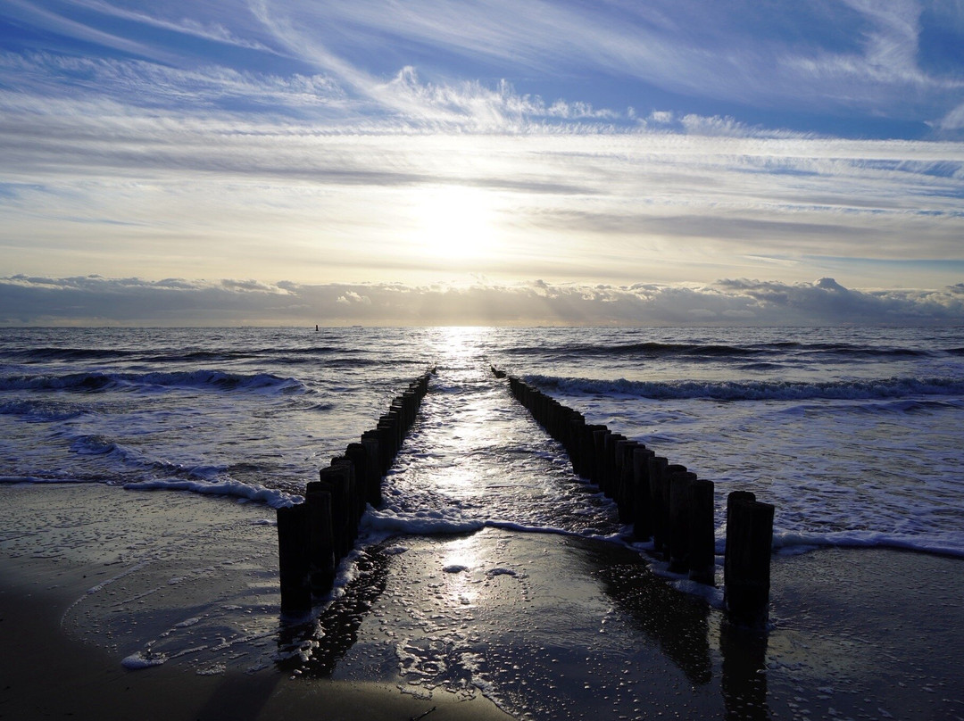 Strandzot beach-Zoutelande必去景点