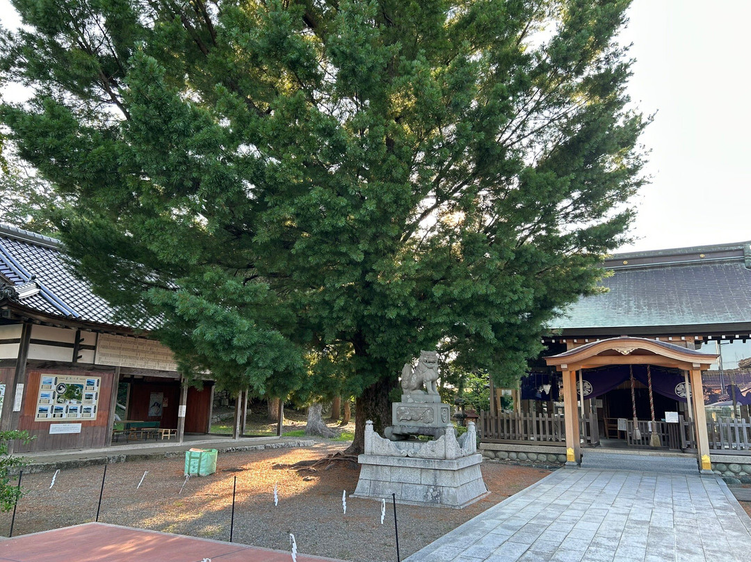 Obama Castle Ruinsz-小滨市必去景点