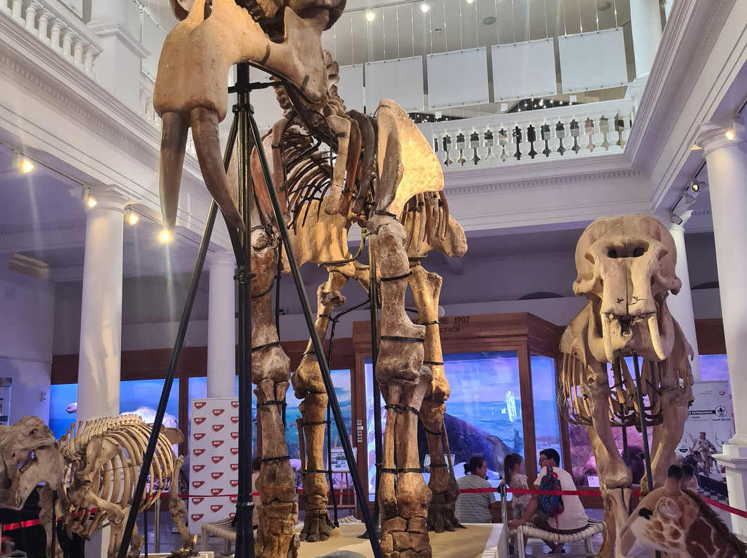 Grigore Antipa National Museum of Natural History-布加勒斯特必去景点