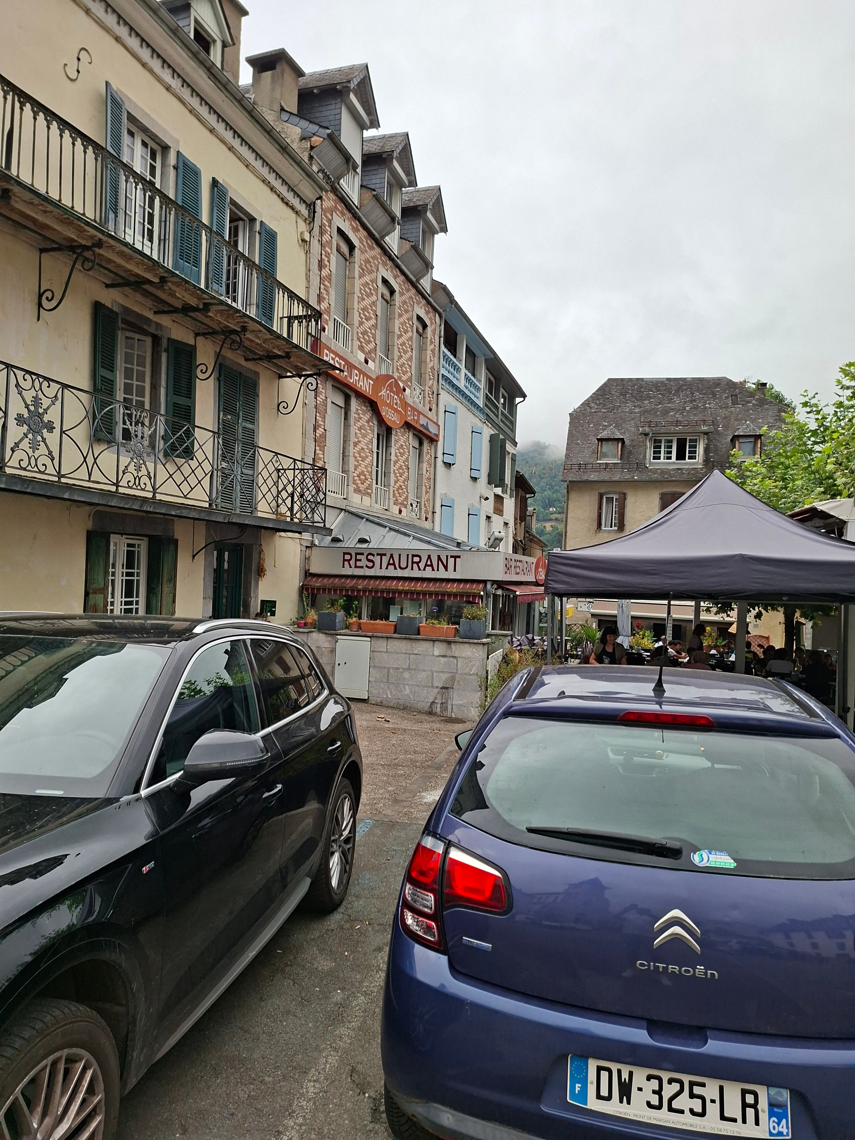 Hotel-Restaurant d'Ossau-官方