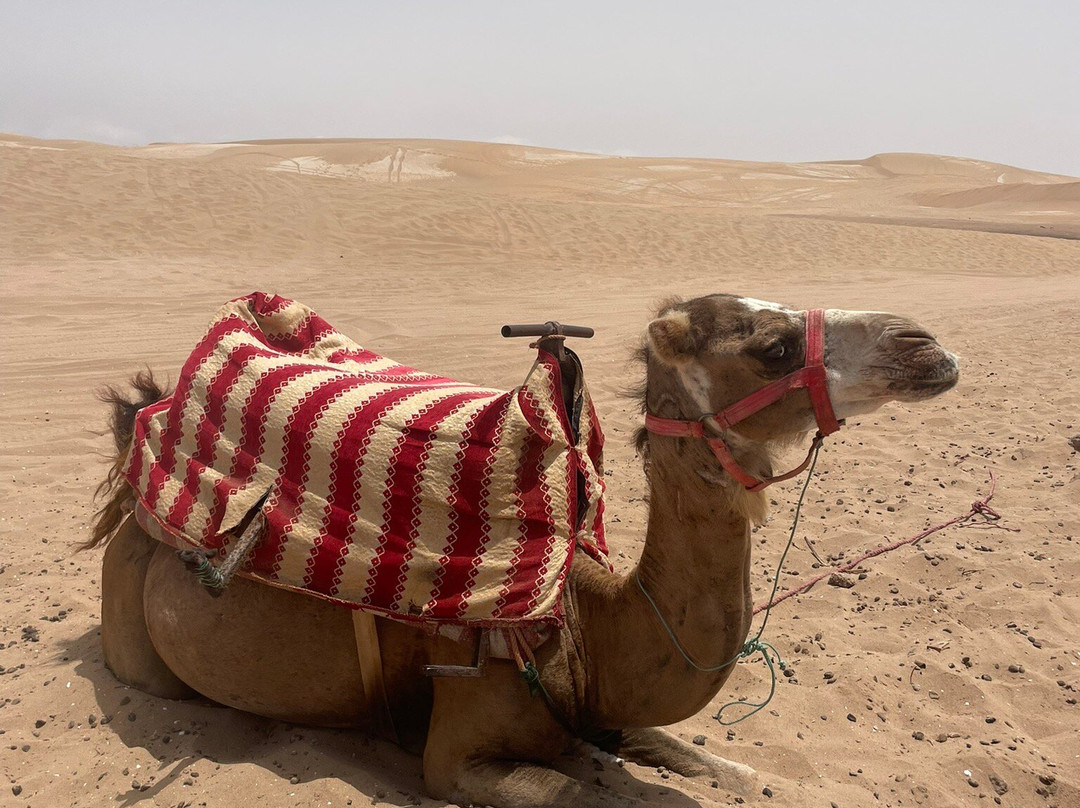 Sun And Sand Quad Agadir-Takate必去景点