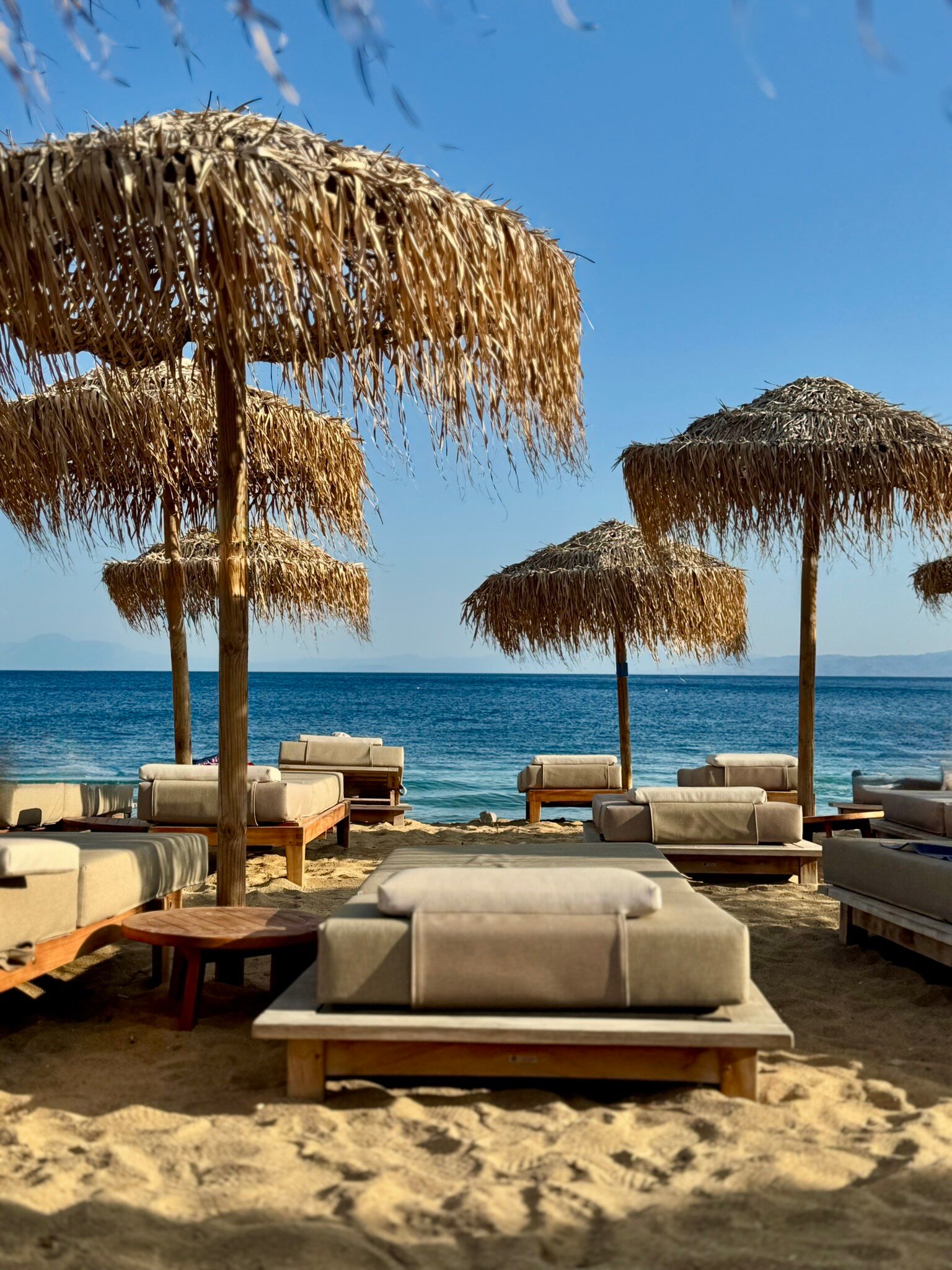 Princess Resort-官方