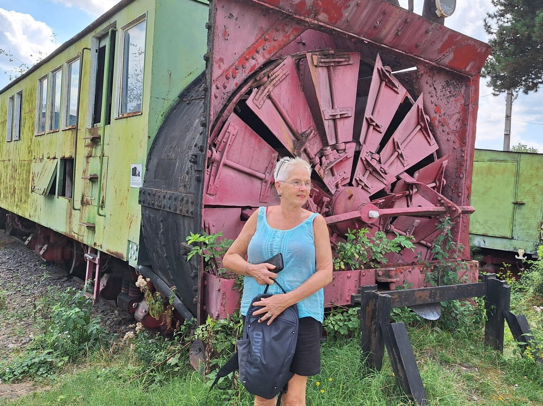 Museum of Steam Locomotives-锡比乌必去景点