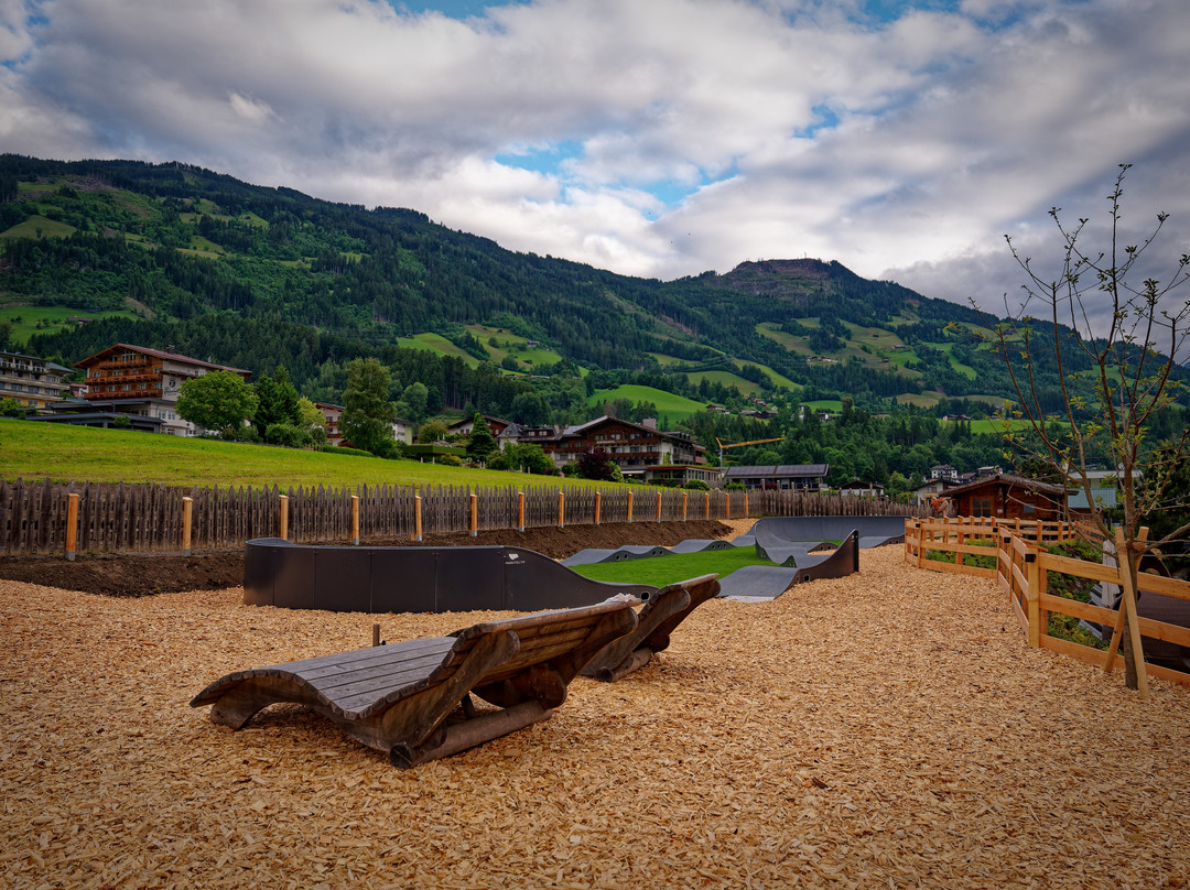 阿尔品纳兹勒塔尔时尚酒店主图