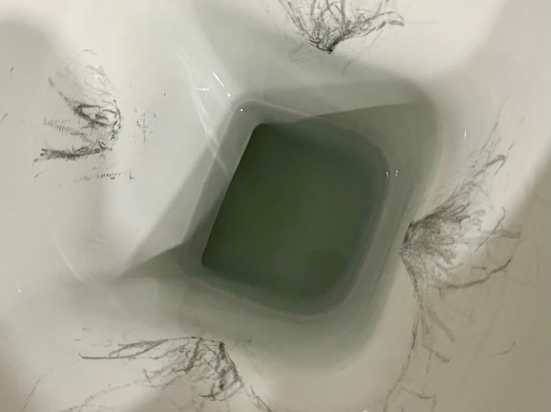 Albergo Del Chianti主图