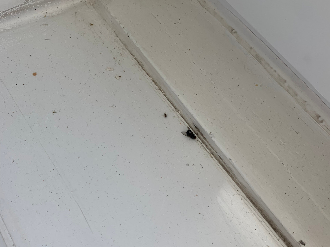 菲盖拉达福什宜必思酒店主图