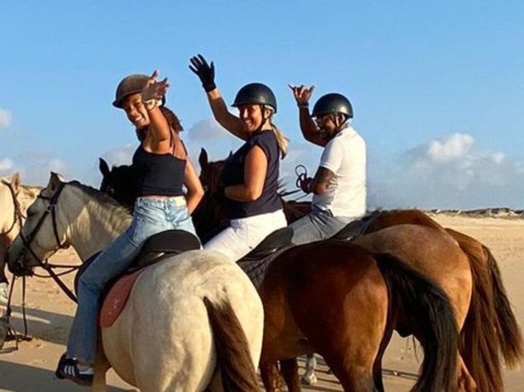 Eco Salgados Agroturismo-佩尼切必去景点