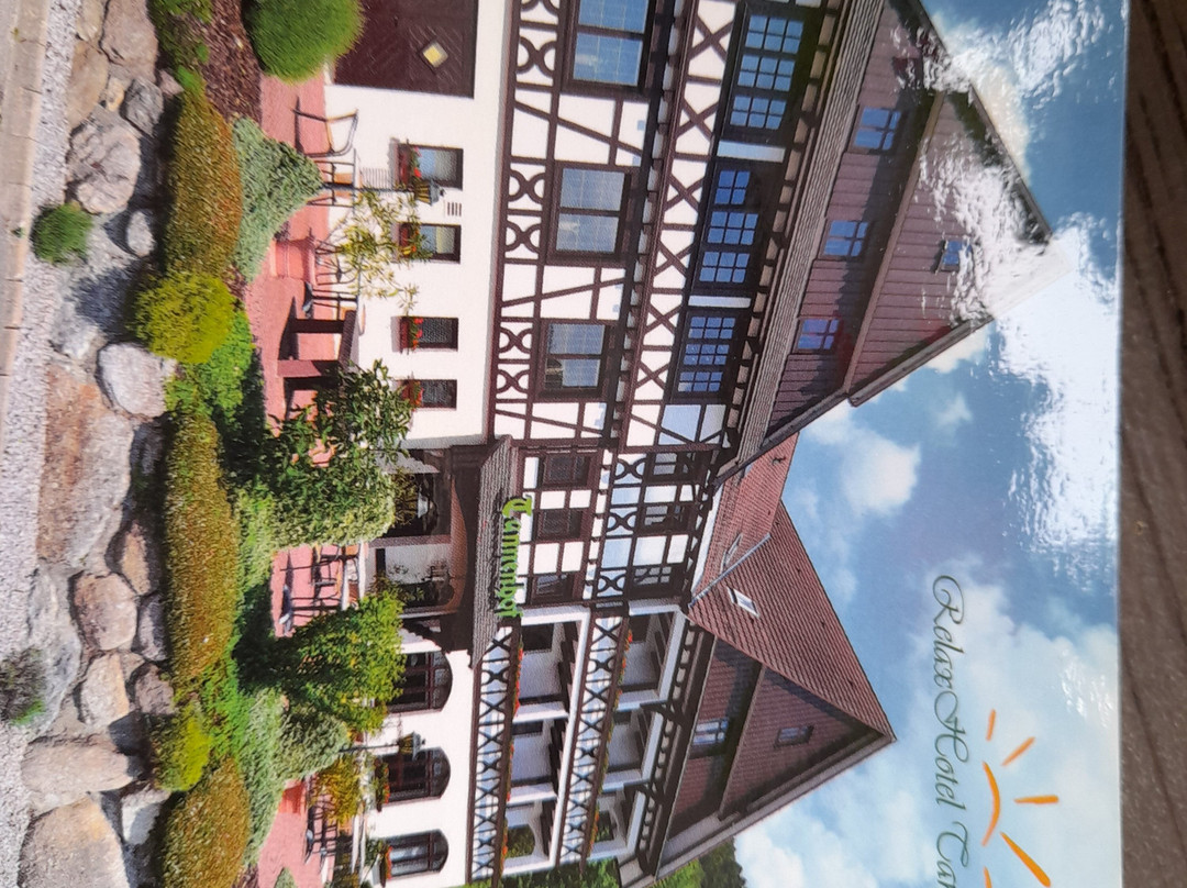 RelaxHotel Tannenhof主图