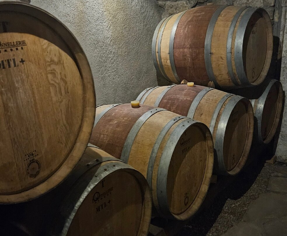 Cantine Antonio Caggiano-Taurasi必去景点