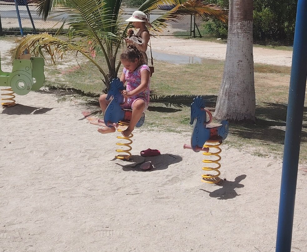 Delfinario-巴拉德罗必去景点