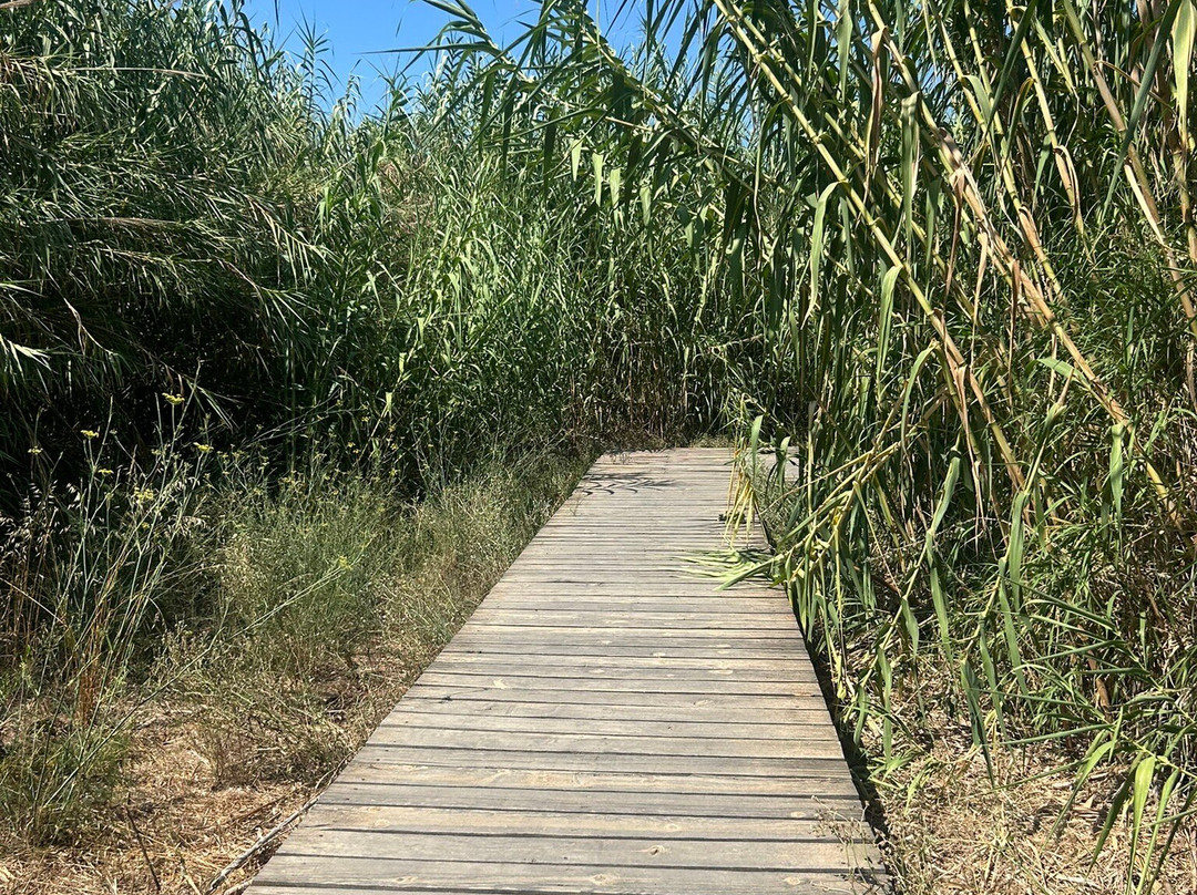 Lake Agias-Agia必去景点