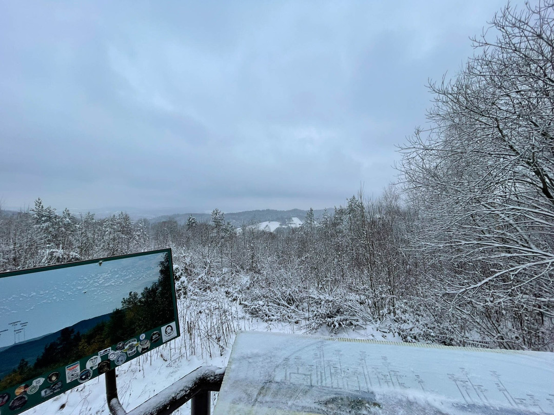 Punkt Widokowy Góry Słonne-Zaluz必去景点