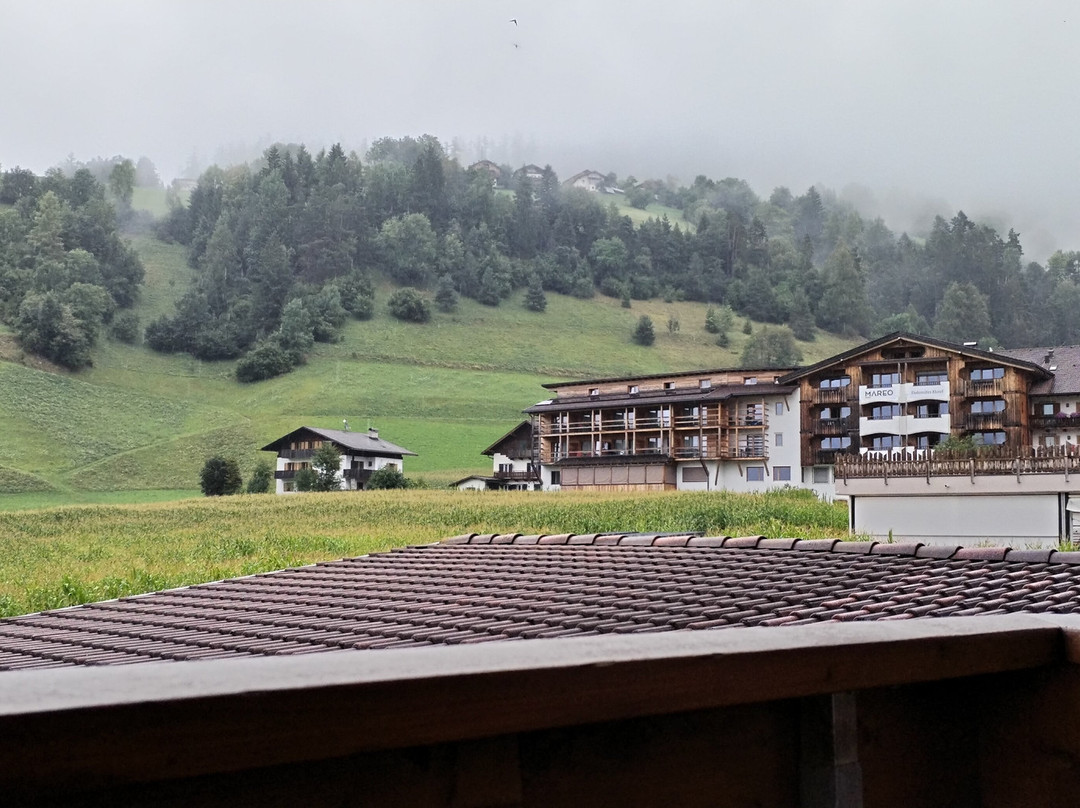 Hotel Almhof Call主图