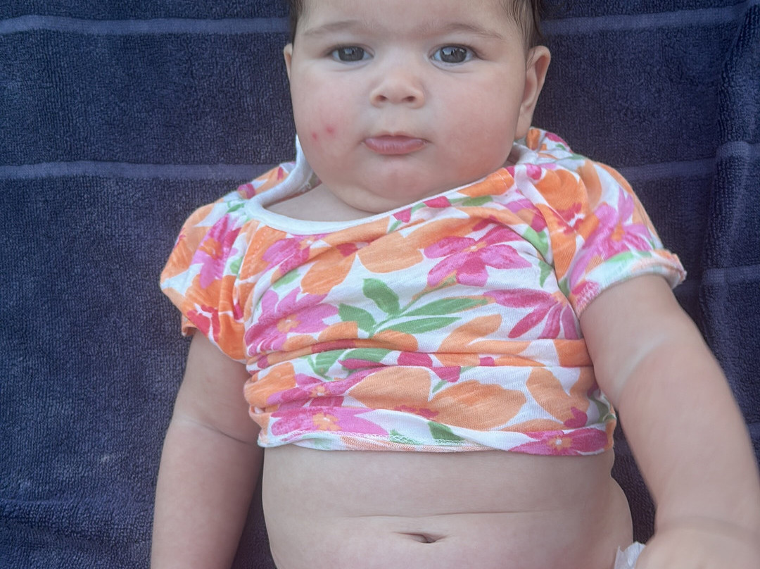 Agriturismo Serra San Biagio主图