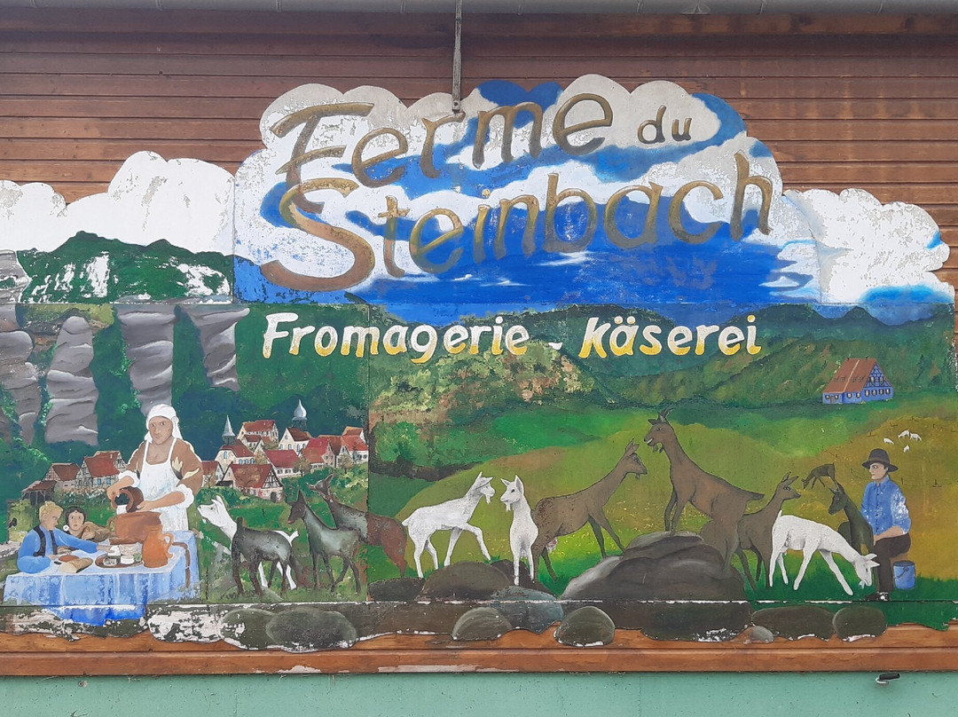 Ferme du Steinbach-Obersteinbach必去景点