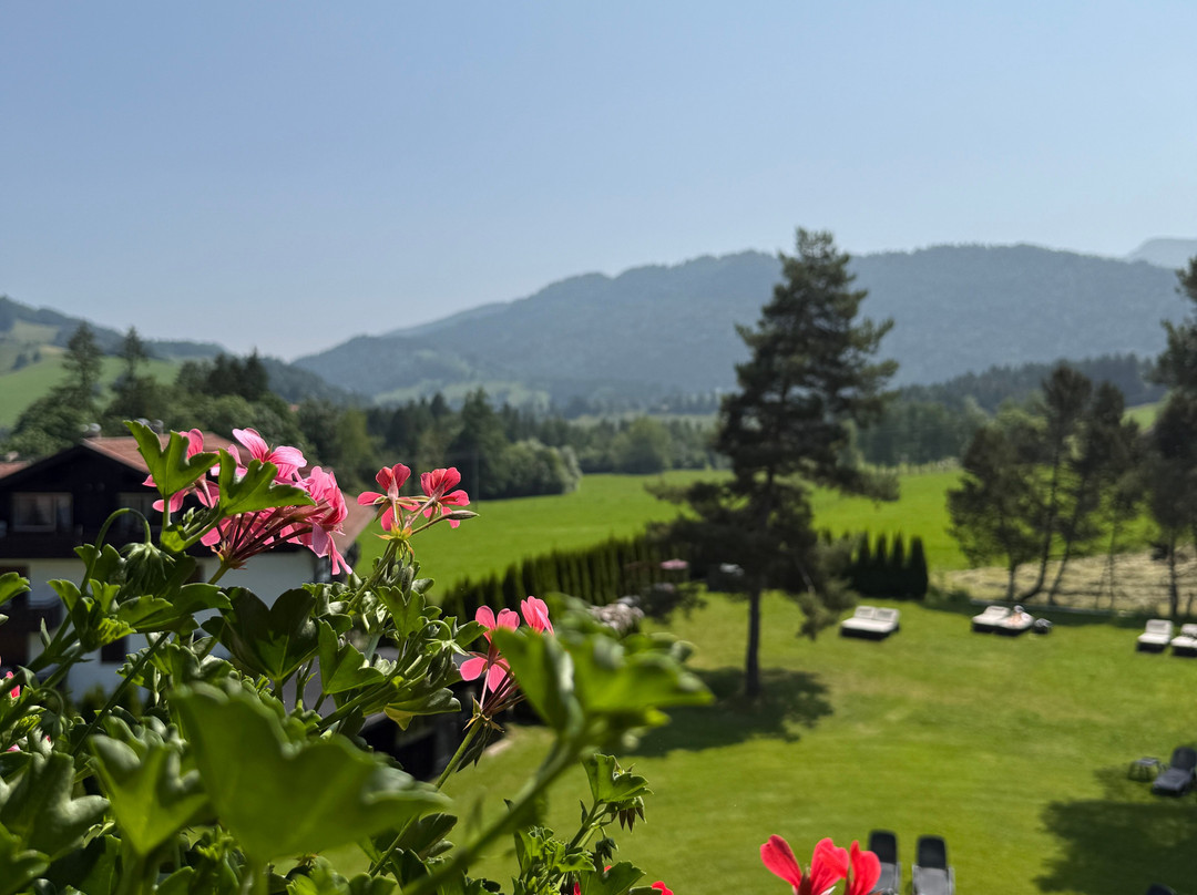 Alpin & Wellness Resort Hotel Ludwig Royal主图