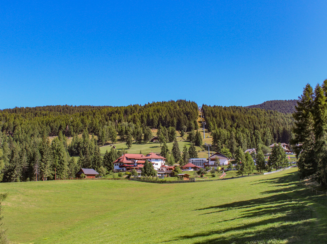 Berghotel Zum Zirm主图