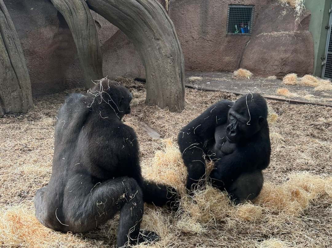 Zoo Bassin d'Arcachon-拉泰斯特德比克必去景点