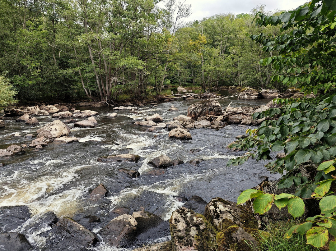 Naturreservatet Sörkvarnsforsen,-Hallstahammar必去景点