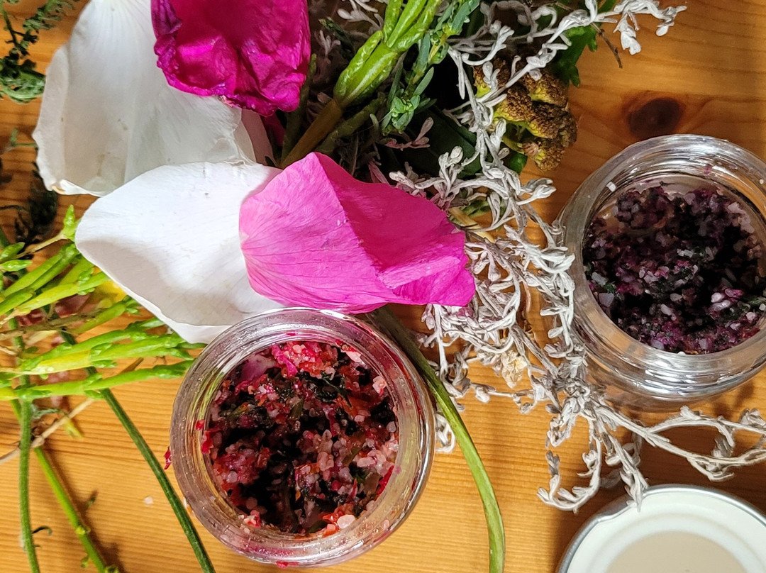 Foehrer Wildnis-Wyk auf Foehr必去景点