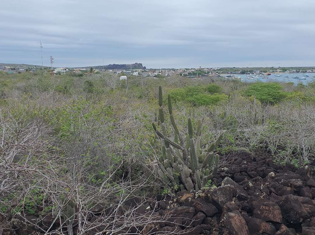 Cerro Tijeretas-Puerto Baquerizo Moreno必去景点