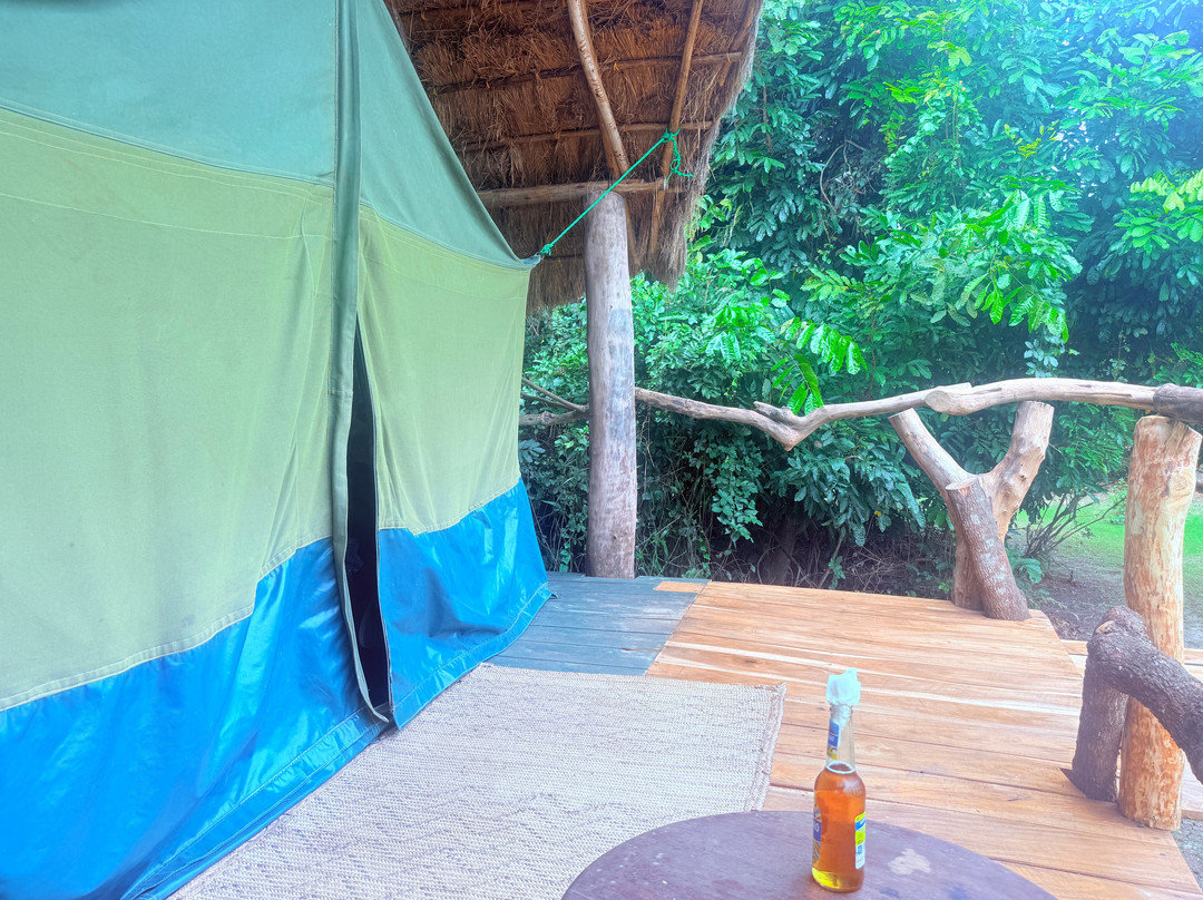 Pekupeku Saadani Tented Camp