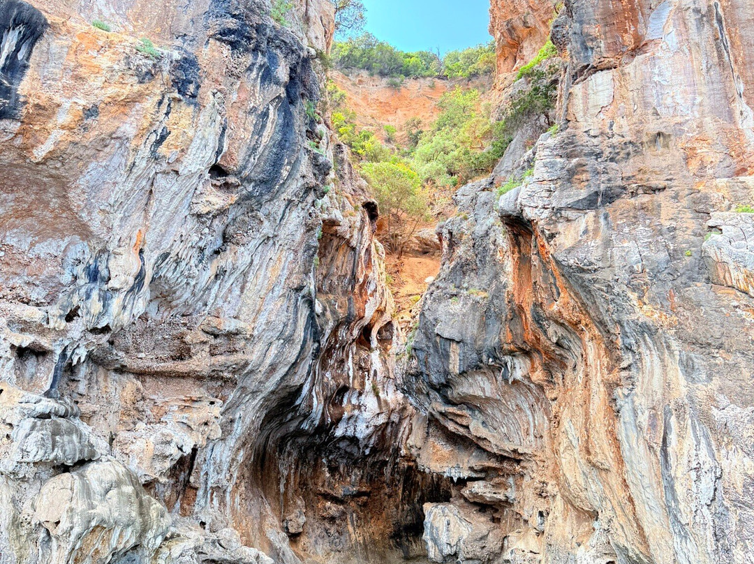 Blue Driving - Noleggio Gommoni ed escursioni nel Golfo di Orosei-奥罗塞必去景点