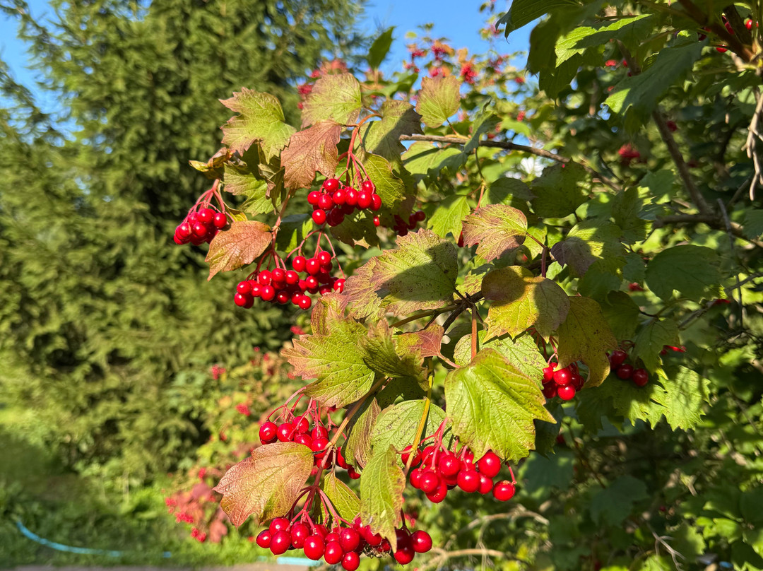 Likhvinskie Vody Resort主图