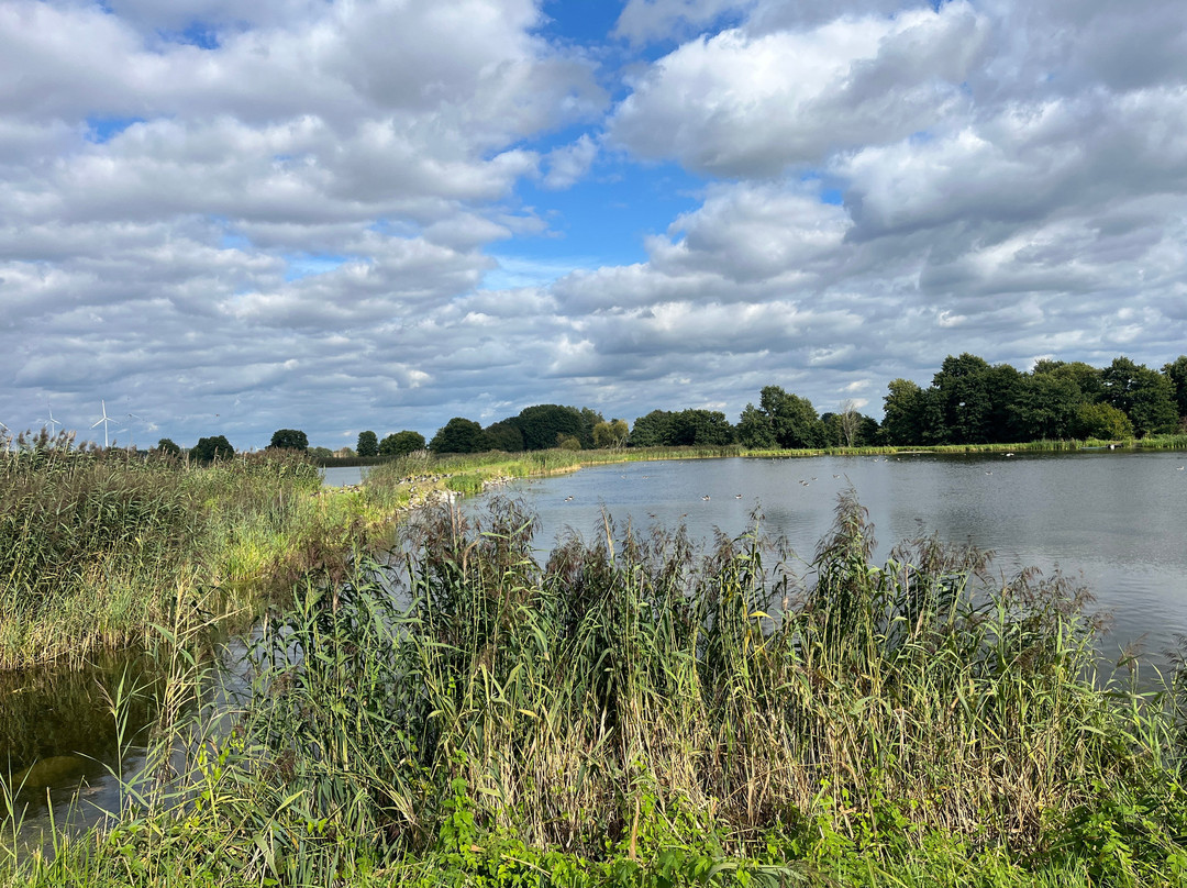 Pension im Forsthaus主图