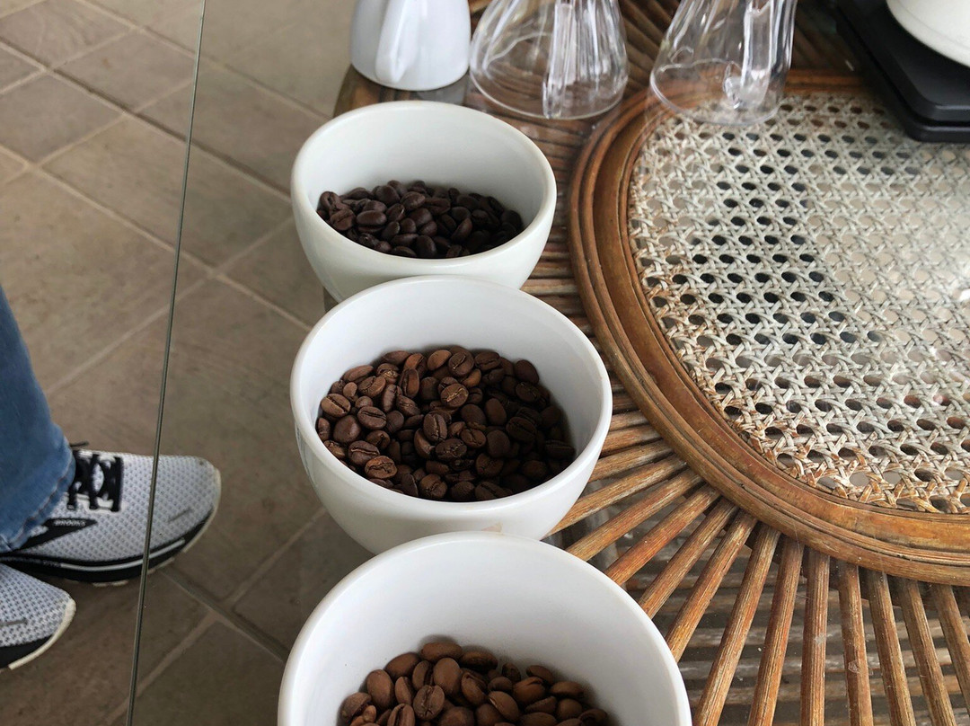 Boquete Coffee Tour-波魁特必去景点