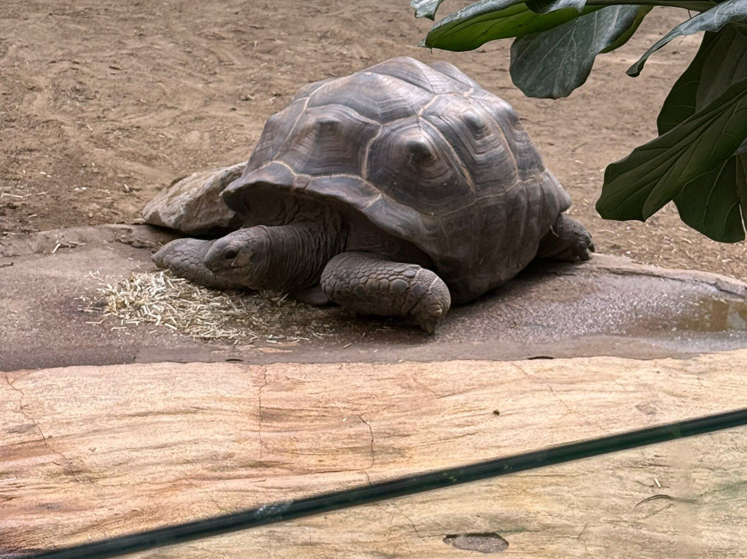 DierenPark Amersfoort-阿默斯福特必去景点