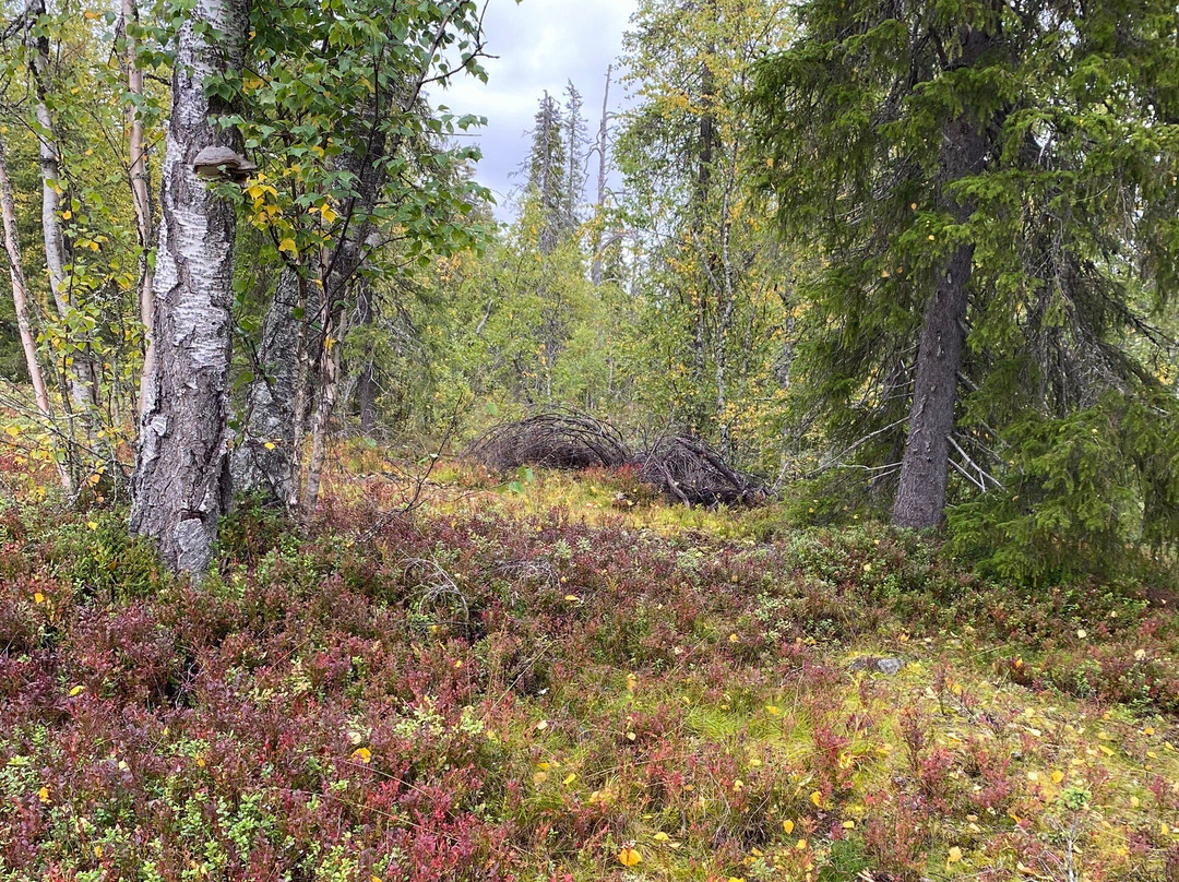 Pyha-Luosto National Park-Pyhatunturi必去景点