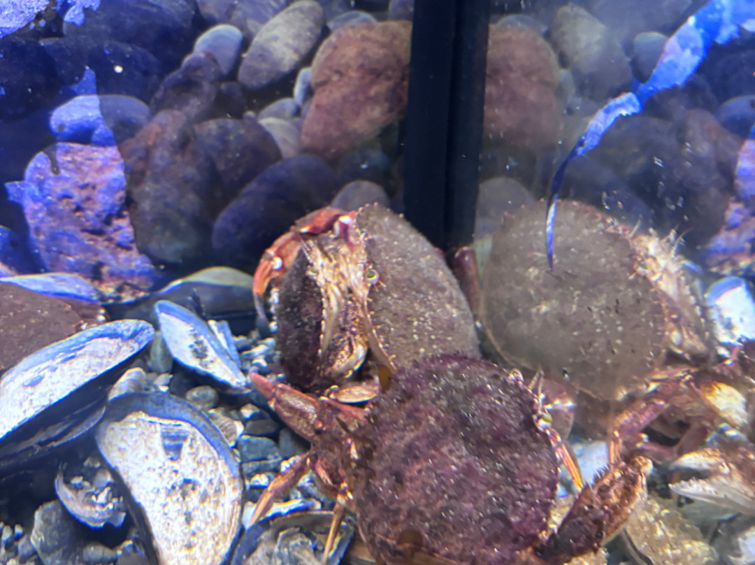 Oceanarium And Education Center-巴港必去景点