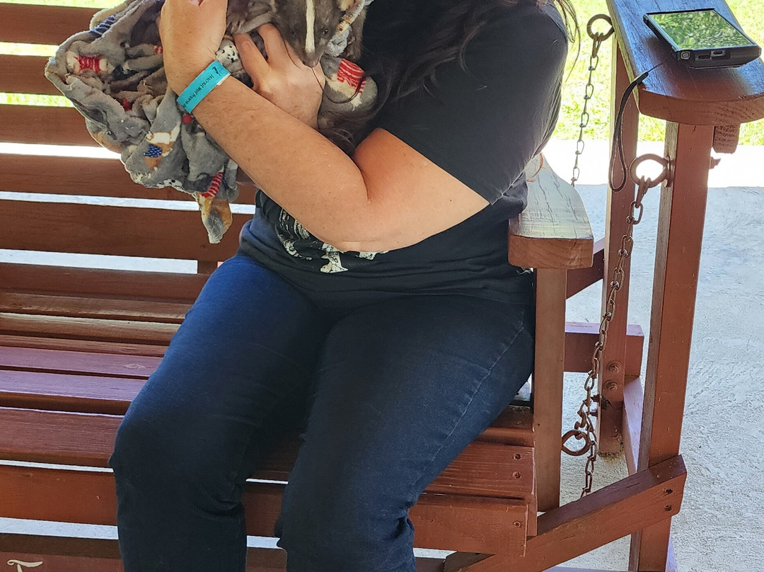 Seacrest Wolf Preserve-Chipley必去景点