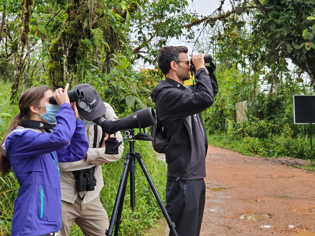 Royer Tours Mindo-明多必去景点