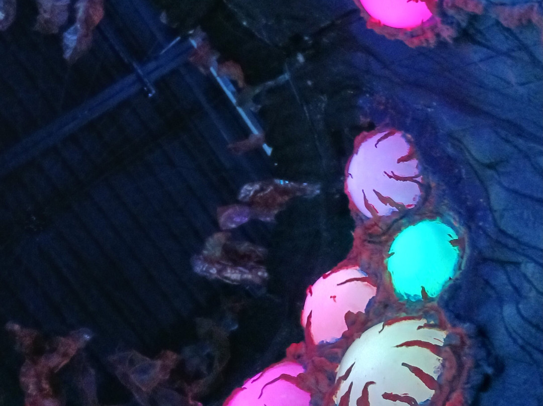 Otherworld-哥伦布必去景点