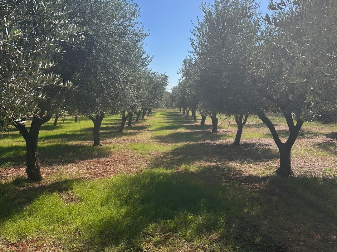 Kalavojna Winery-Loborika必去景点