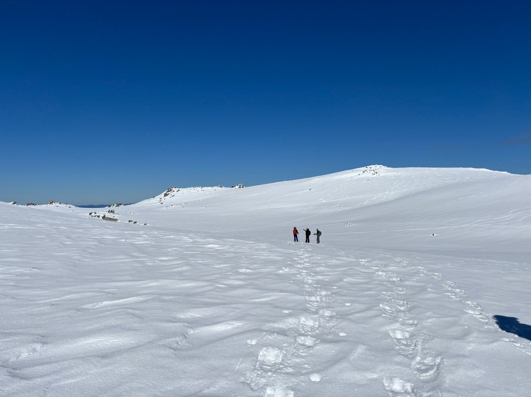 GirlsTrek-布里斯班必去景点