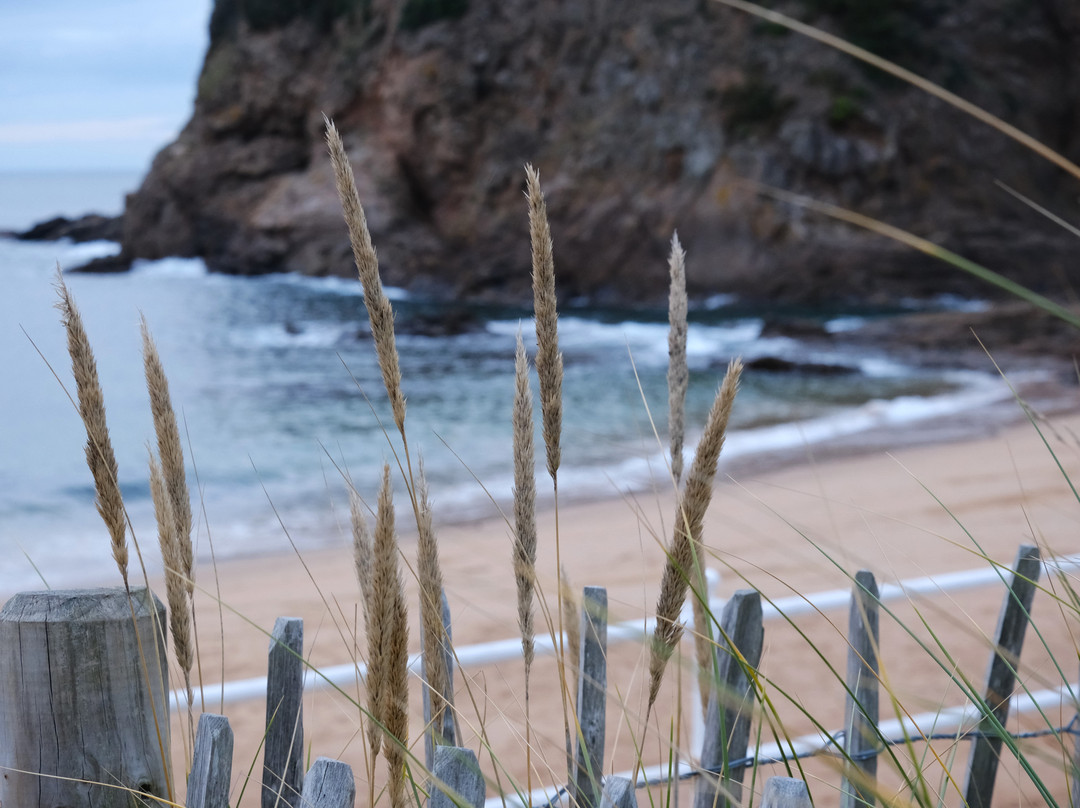 Greve de Lecq-St. Ouen必去景点