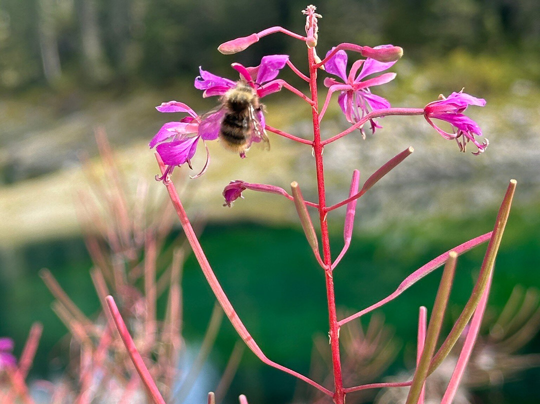 Hotel Rubino Deluxe主图