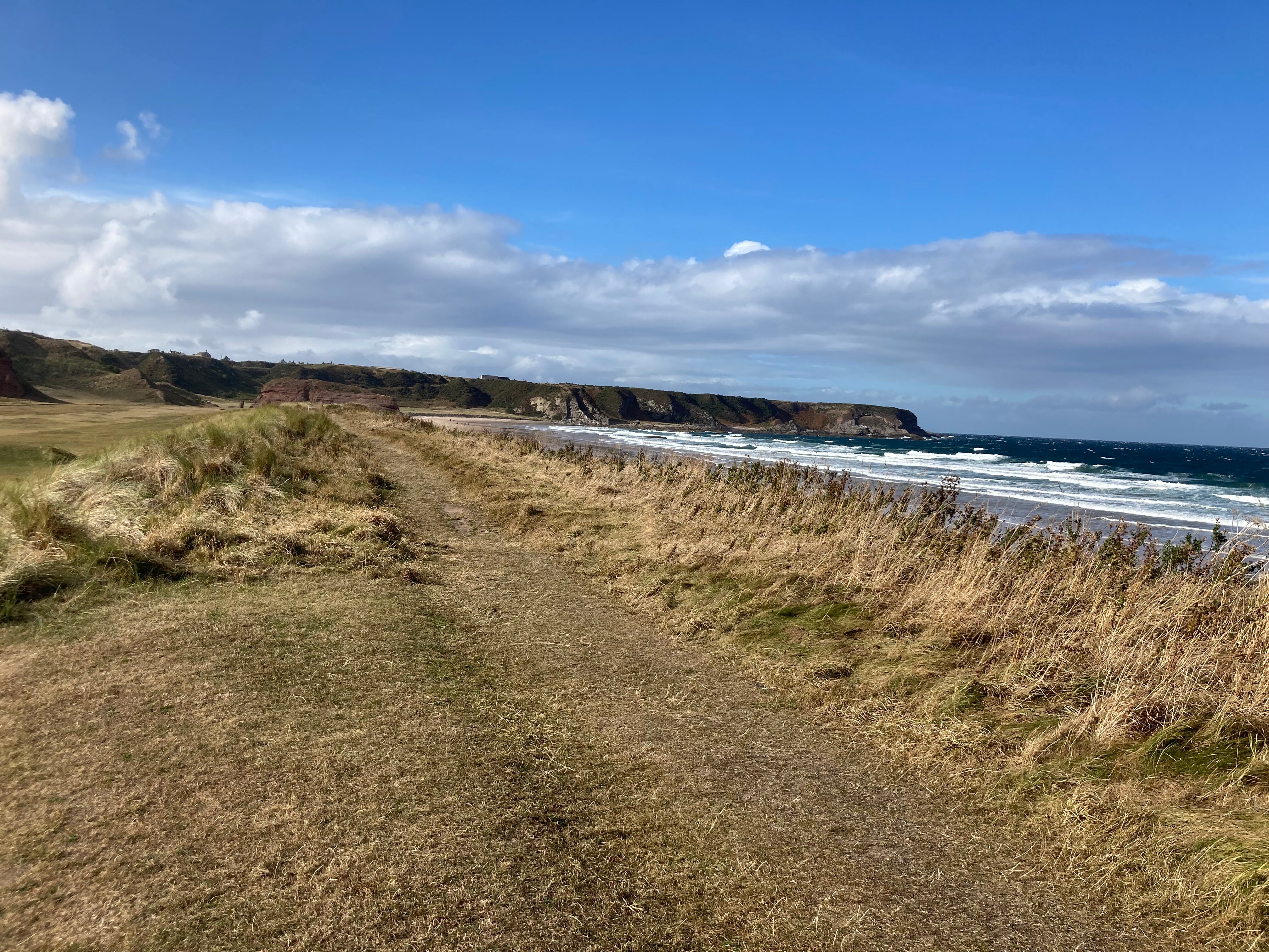 Victoria Hotel-官方