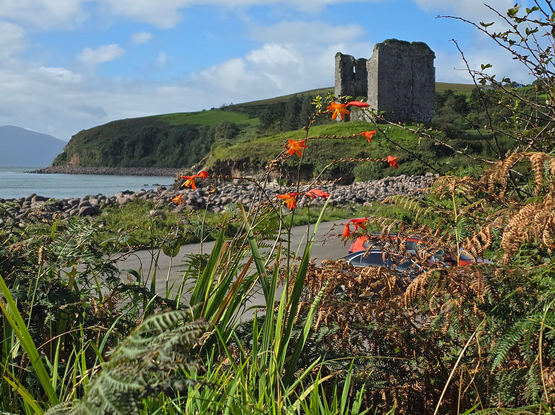 Wonderful Ireland Walking Tours-邓德拉姆必去景点