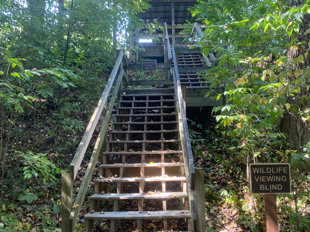 Char-mar Ridge Park-韦斯特维尔必去景点