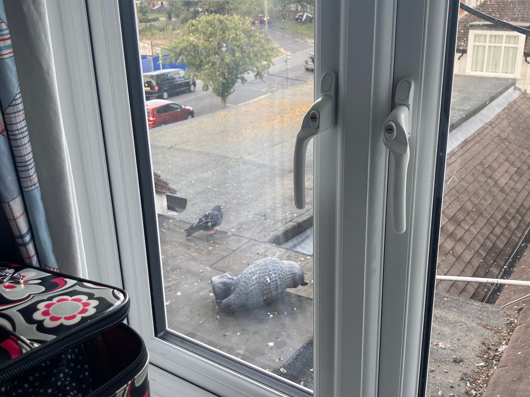 The Captain Howey Hotel主图