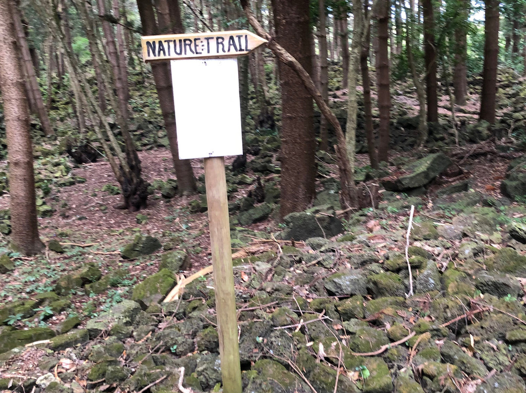Bras d'Eau National Park-Poste Lafayette必去景点