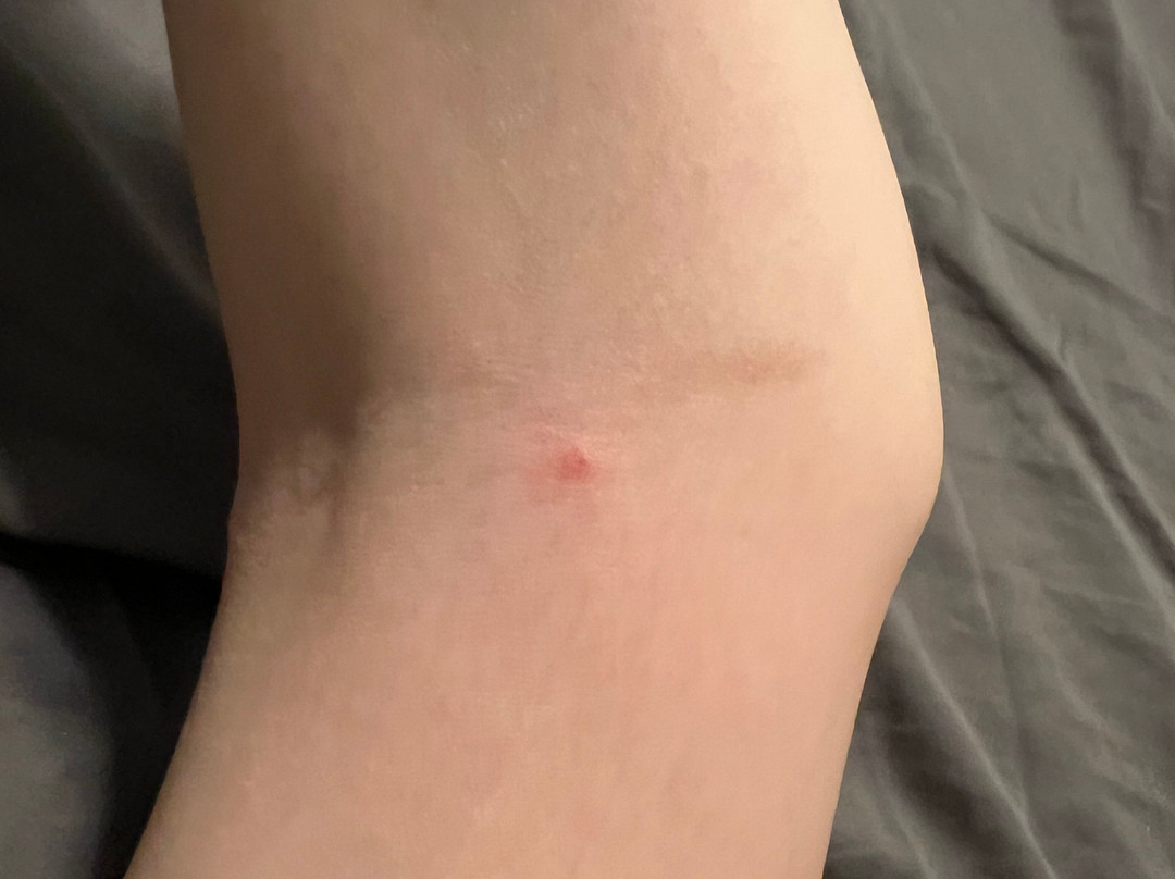 宜必思尚品那慕尔酒店（2021 年 7 月开业）主图