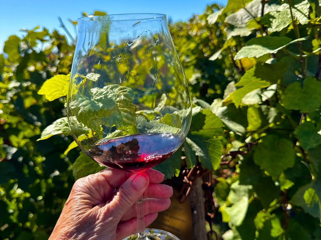 Archery Summit Winery-Dayton必去景点