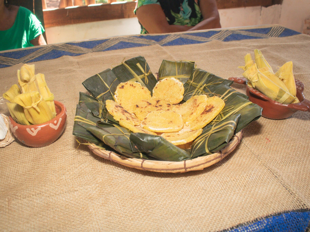 Pantanal Click-米兰达必去景点