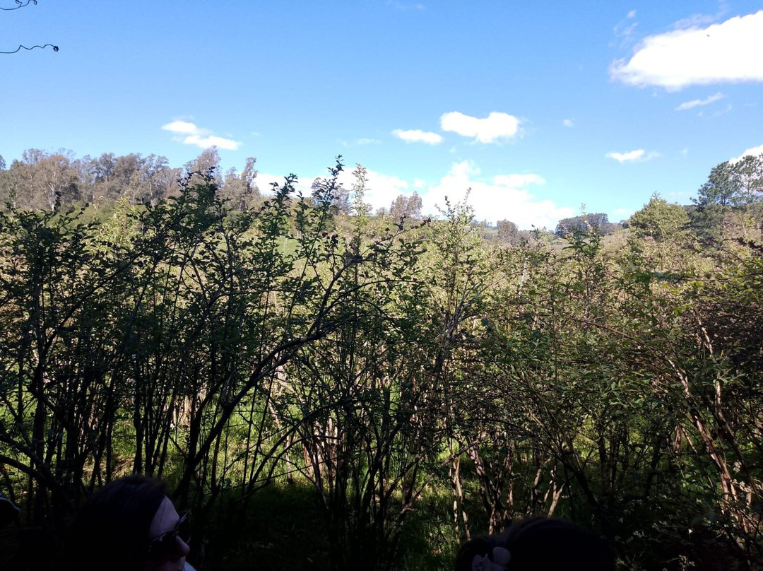 Doces Silber-Otavio Rocha必去景点