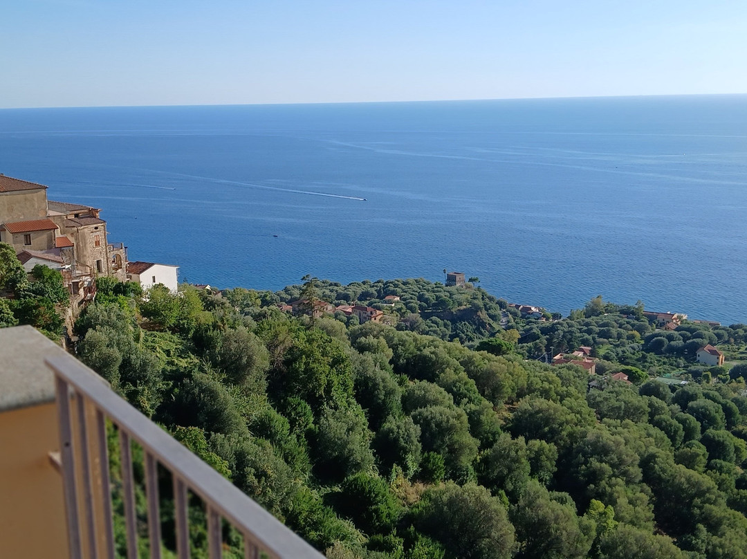 玛露丽沃酒店主图